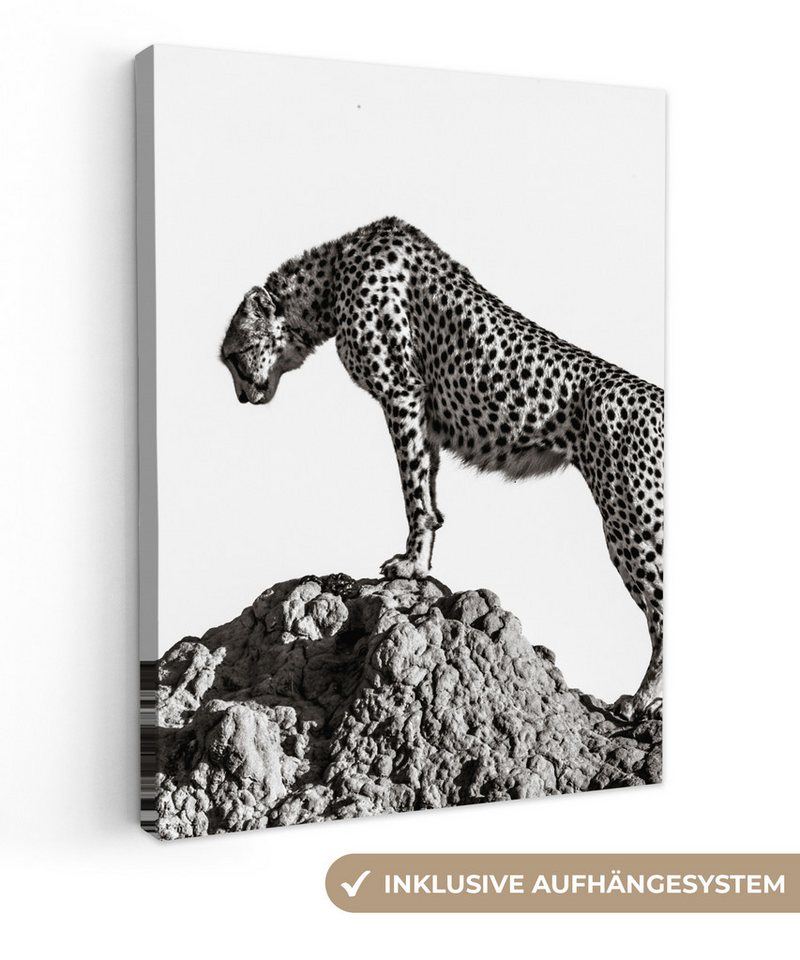 OneMillionCanvasses® Leinwandbild Raubtier - Panther - Tiere - Natur, Fotodruck (1 St), Leinwand Bilder für Wohnzimmer Schlafzimmer 30x40 cm von OneMillionCanvasses®