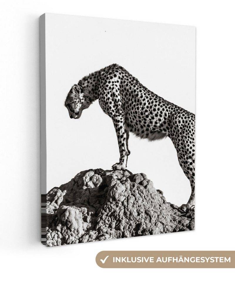 OneMillionCanvasses® Leinwandbild Raubtier - Panther - Tiere - Natur, Fotodruck (1 St), Leinwand Bilder für Wohnzimmer Schlafzimmer 30x40 cm von OneMillionCanvasses®