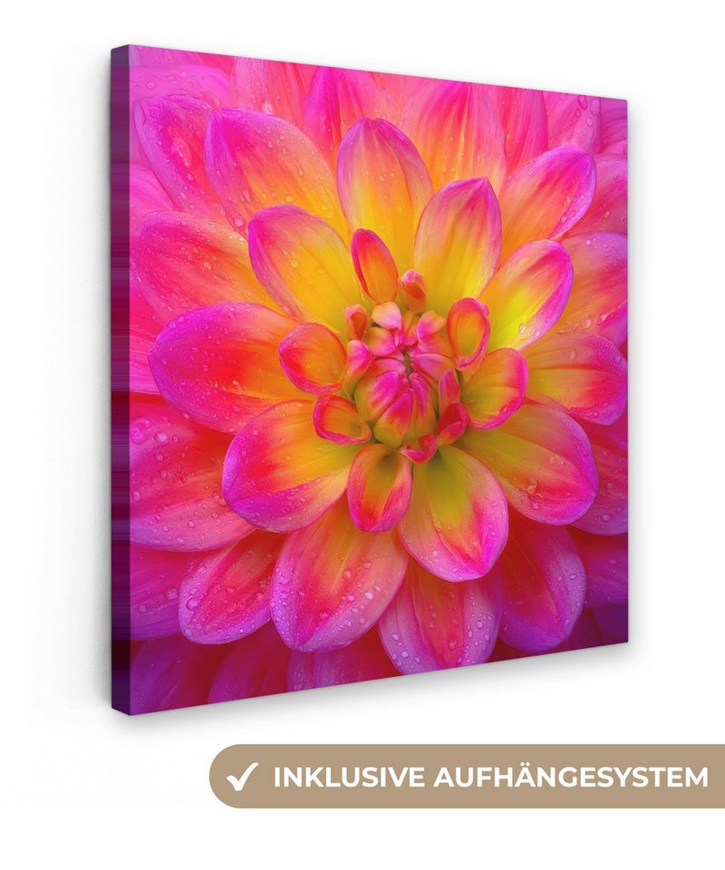 OneMillionCanvasses® Leinwandbild Rosa - Dahlie - Farbenfroh, Fotodruck (1 St), Leinwand Canvas Wandbild, Wanddekoration 20x30 cm von OneMillionCanvasses®