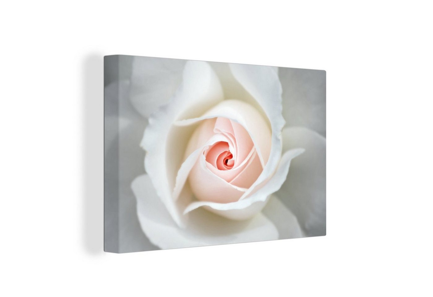 OneMillionCanvasses® Leinwandbild Rose - Blume - Blätter, (1 St), Wandbild Leinwandbilder, Aufhängefertig, Wanddeko, 30x20 cm von OneMillionCanvasses®