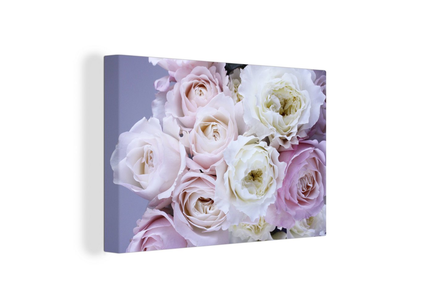 OneMillionCanvasses® Leinwandbild Rosen - Blumen - Lila, (1 St), Wandbild Leinwandbilder, Aufhängefertig, Wanddeko, 30x20 cm von OneMillionCanvasses®