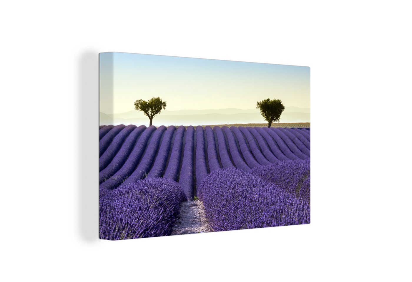 OneMillionCanvasses® Leinwandbild Lavendel - Bäume - Blumen - Natur, (1 St), Wandbild Leinwandbilder, Aufhängefertig, Wanddeko, 30x20 cm von OneMillionCanvasses®