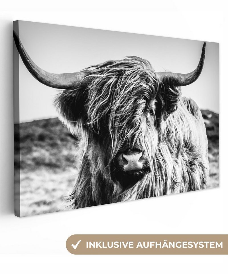 OneMillionCanvasses® Leinwandbild Schottischer Highlander - Natur - Kuh - Schwarz - Weiß, (1 St), Wandbild Leinwandbilder, Aufhängefertig, Wanddeko, 30x20 cm von OneMillionCanvasses®