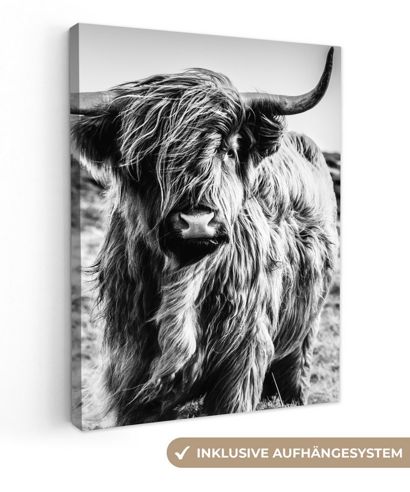 OneMillionCanvasses® Leinwandbild Schottischer Highlander - Natur - Kuh - Schwarz - Weiß, Schwarz, Weiß (1 St), Leinwand Bilder für Wohnzimmer Schlafzimmer 30x40 cm von OneMillionCanvasses®
