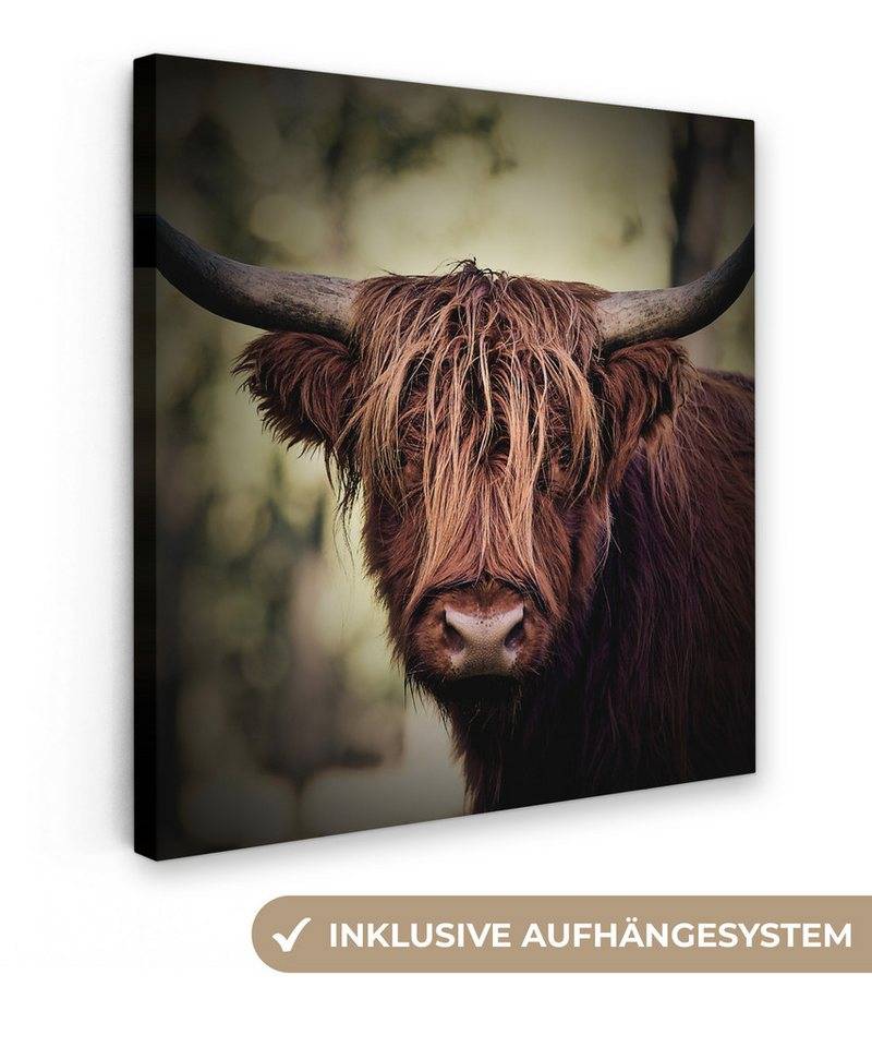 OneMillionCanvasses® Leinwandbild Schottischer Hochländer - Licht - Porträt - Natur, (1 St), Wandbild, Deko Schlafzimmer Wohnzimmer Flur 20x20 cm von OneMillionCanvasses®
