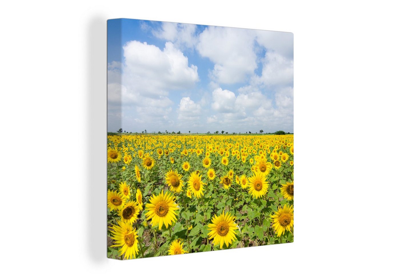 OneMillionCanvasses® Leinwandbild Sonnenblumen - Blumen - Wolken - Natur - Gelb - Landschaft, (1 St), Leinwand Bilder für Wohnzimmer Schlafzimmer von OneMillionCanvasses®