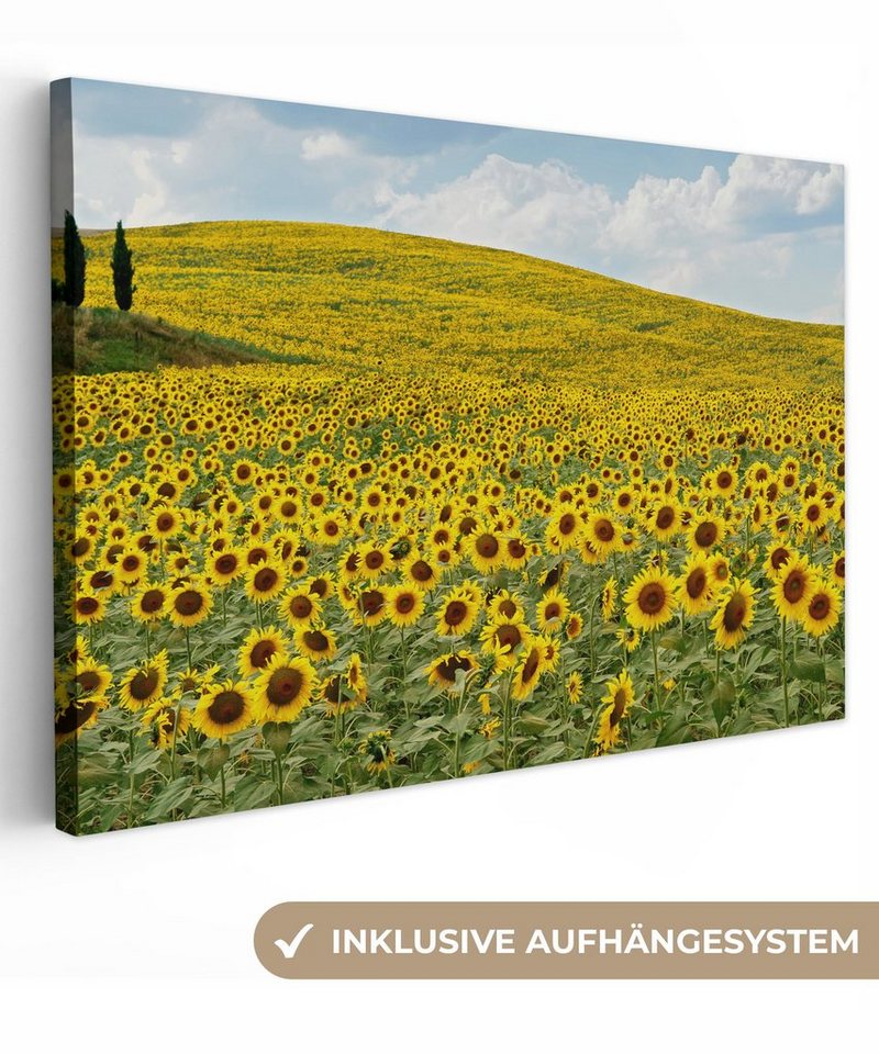 OneMillionCanvasses® Leinwandbild Sonnenblumen in der Toskana, (1 St), Wandbild Leinwandbilder, Aufhängefertig, Wanddeko, 30x20 cm von OneMillionCanvasses®