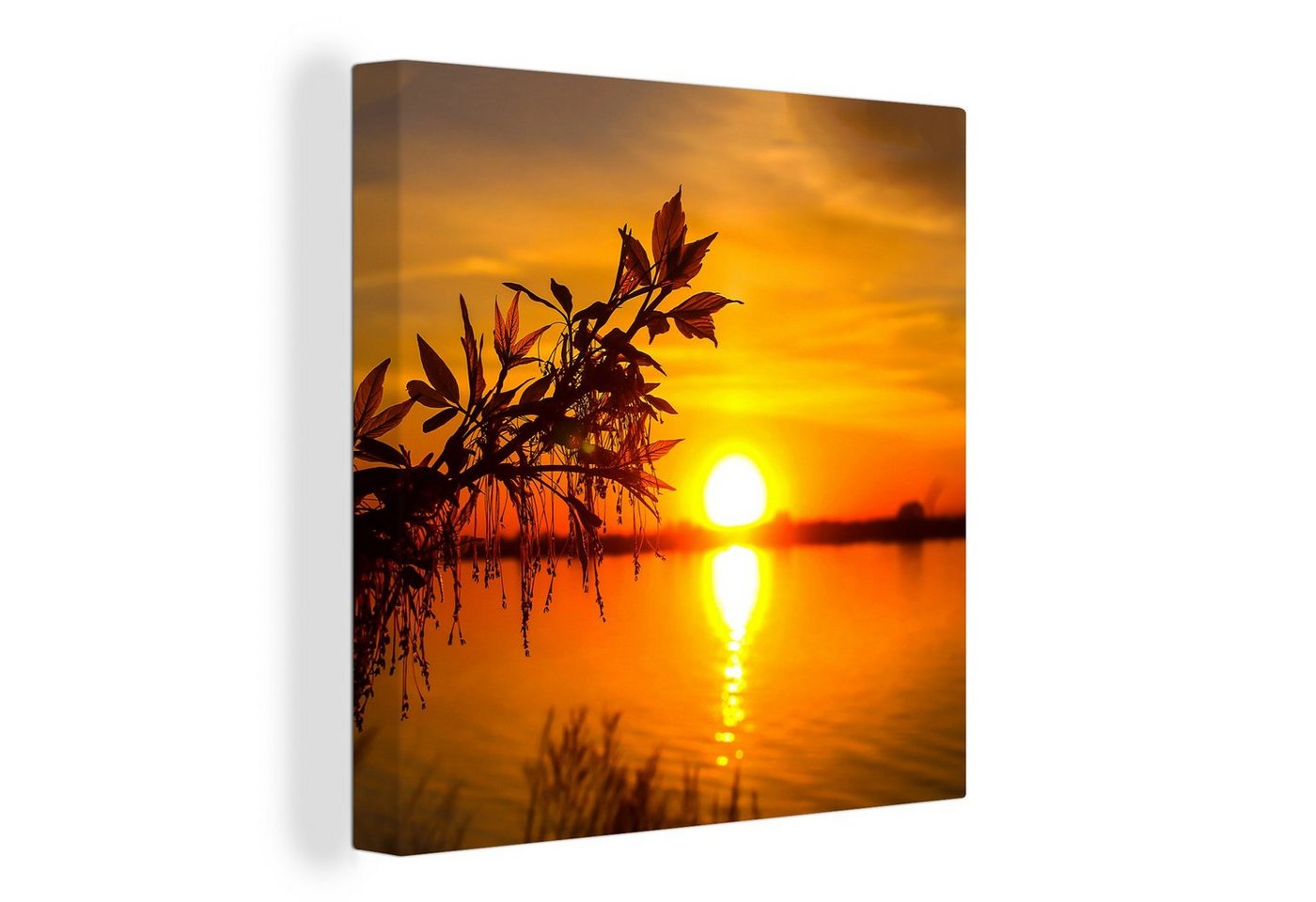 OneMillionCanvasses® Leinwandbild Sonnenuntergang - Wasser - Pflanzen - Orange, (1 St), Leinwand Bilder für Wohnzimmer Schlafzimmer von OneMillionCanvasses®