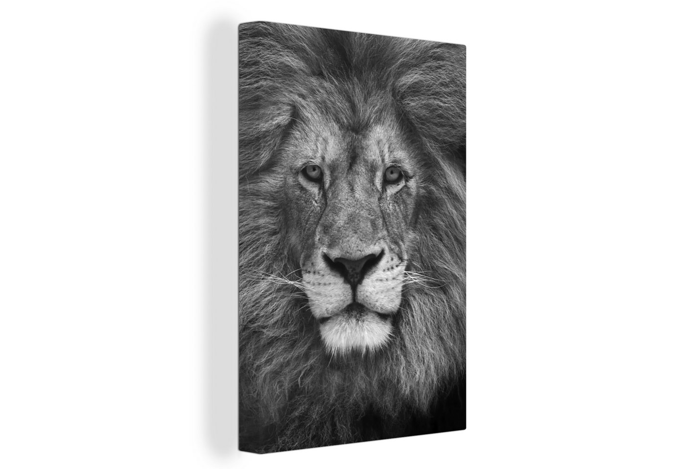 OneMillionCanvasses® Leinwandbild Tierprofil Persischer Löwe in schwarz und weiß, (1 St), Leinwandbild fertig bespannt inkl. Zackenaufhänger, Gemälde, 20x30 cm von OneMillionCanvasses®