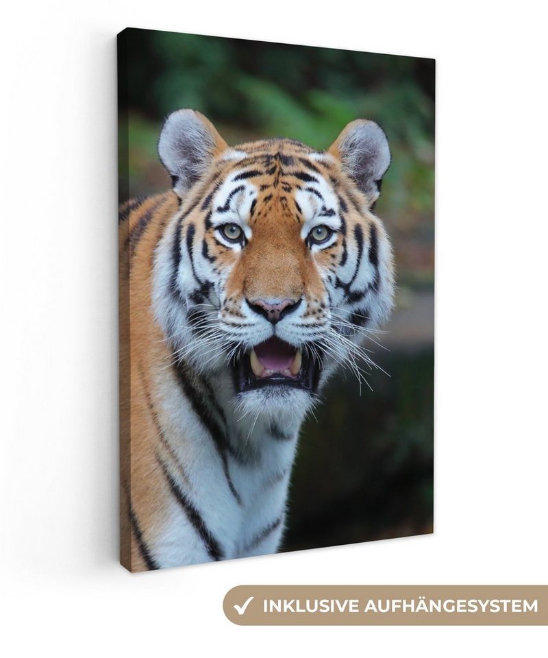 OneMillionCanvasses® Leinwandbild Tiger - Gähnen - Natur, (1 St), Leinwandbild fertig bespannt inkl. Zackenaufhänger, Gemälde, 20x30 cm von OneMillionCanvasses®