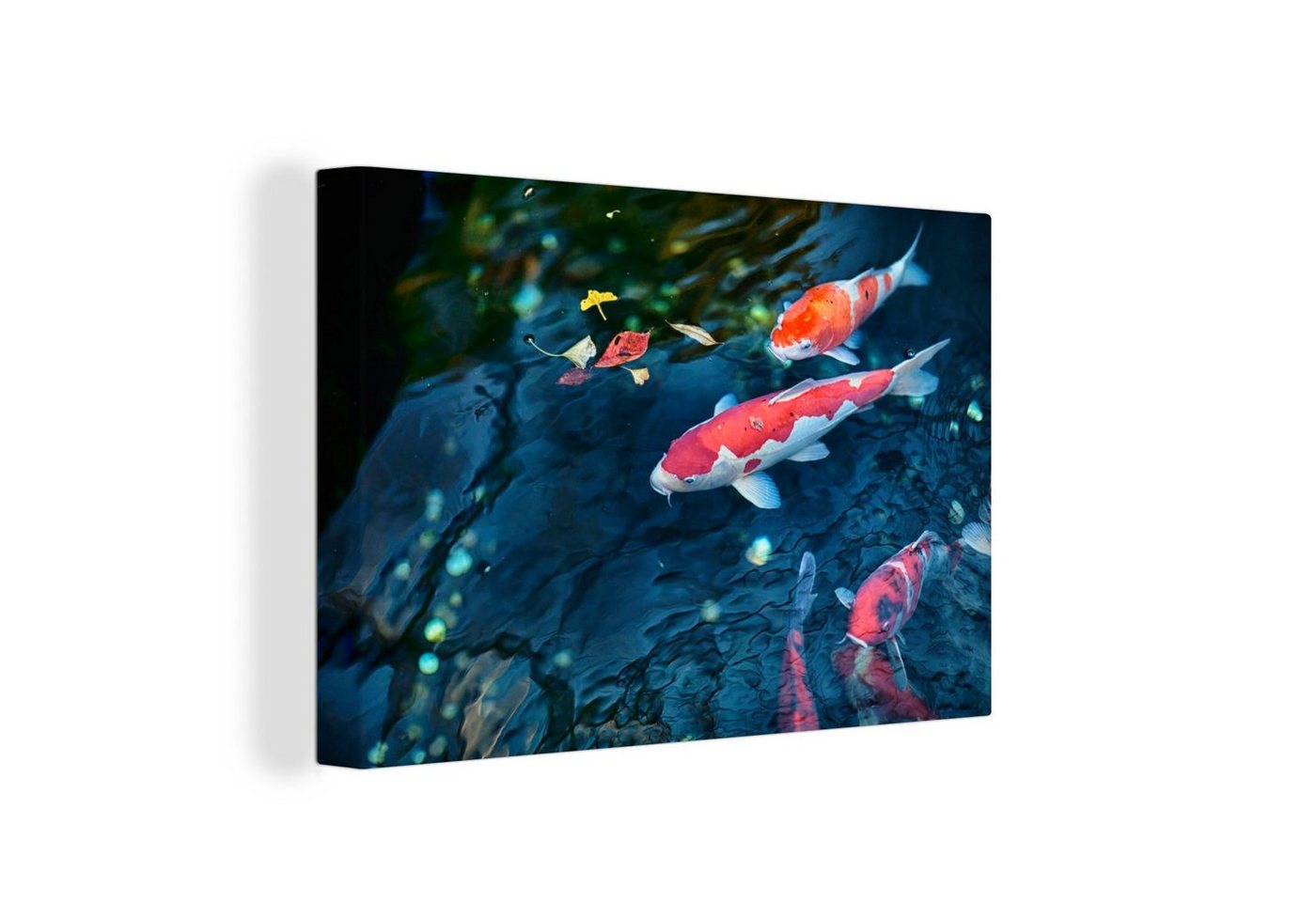 OneMillionCanvasses® Leinwandbild Vier Koi-Karpfen in einem Teich, (1 St), Wandbild Leinwandbilder, Aufhängefertig, Wanddeko, 30x20 cm von OneMillionCanvasses®