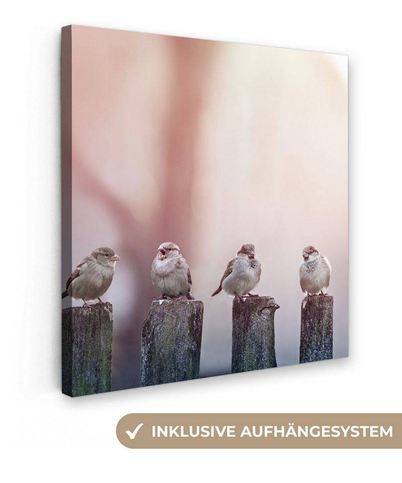 OneMillionCanvasses® Leinwandbild Vögel - Spatzen - Pfähle - Holz, (1 St), Wandbild, Deko Schlafzimmer Wohnzimmer Flur 20x20 cm von OneMillionCanvasses®