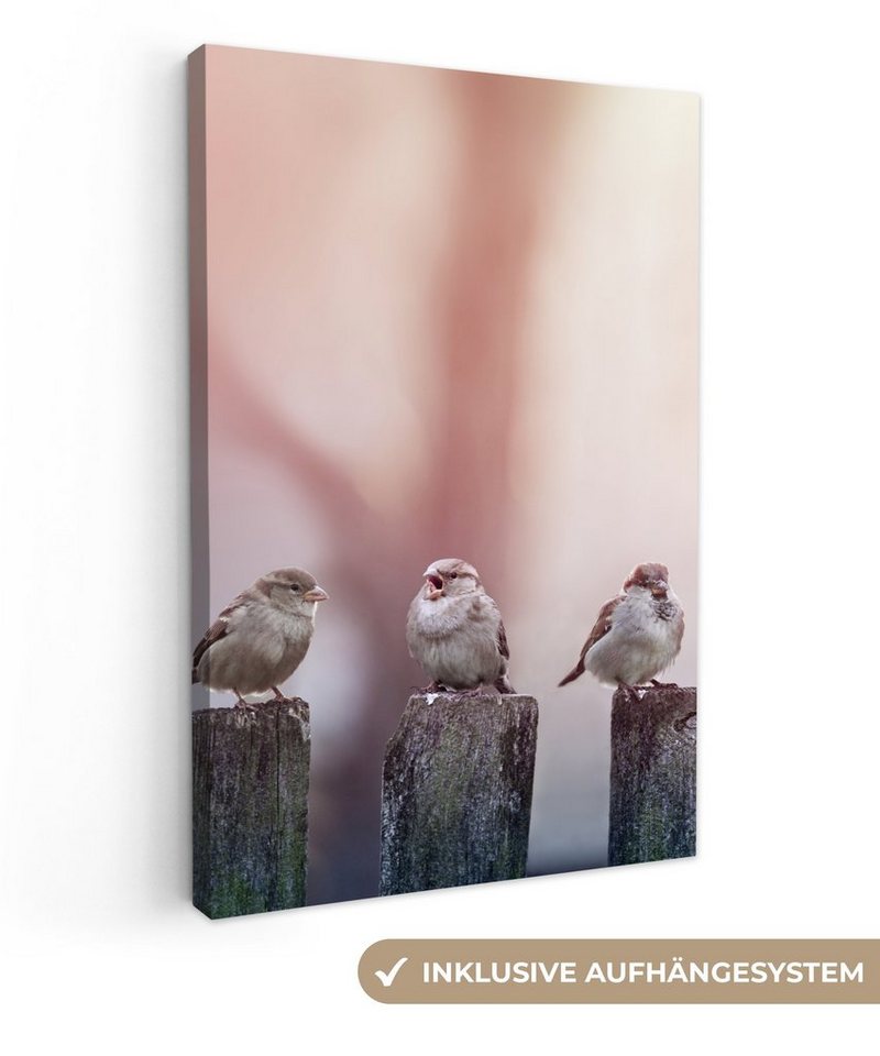 OneMillionCanvasses® Leinwandbild Vögel - Spatzen - Pfähle - Holz, Fotodruck (1 St), Leinwand Bilder Klein, Wand Dekoration Aesthetic 30x20 cm von OneMillionCanvasses®