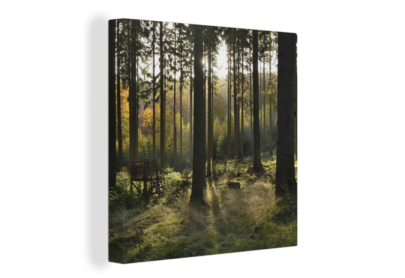 OneMillionCanvasses® Leinwandbild Wald - Sommer - Sonne, (1 St), Leinwand Bilder für Wohnzimmer Schlafzimmer von OneMillionCanvasses®