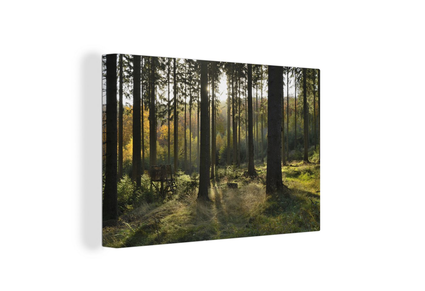 OneMillionCanvasses® Leinwandbild Wald - Sommer - Sonne, (1 St), Wandbild Leinwandbilder, Aufhängefertig, Wanddeko, 30x20 cm von OneMillionCanvasses®