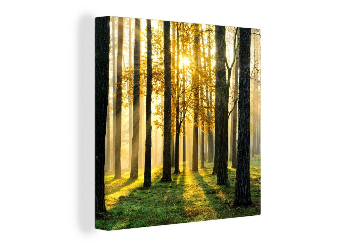OneMillionCanvasses® Leinwandbild Wald - Sonne - Bäume - Gras - Landschaft - Natur, (1 St), Leinwand Bilder für Wohnzimmer Schlafzimmer von OneMillionCanvasses®