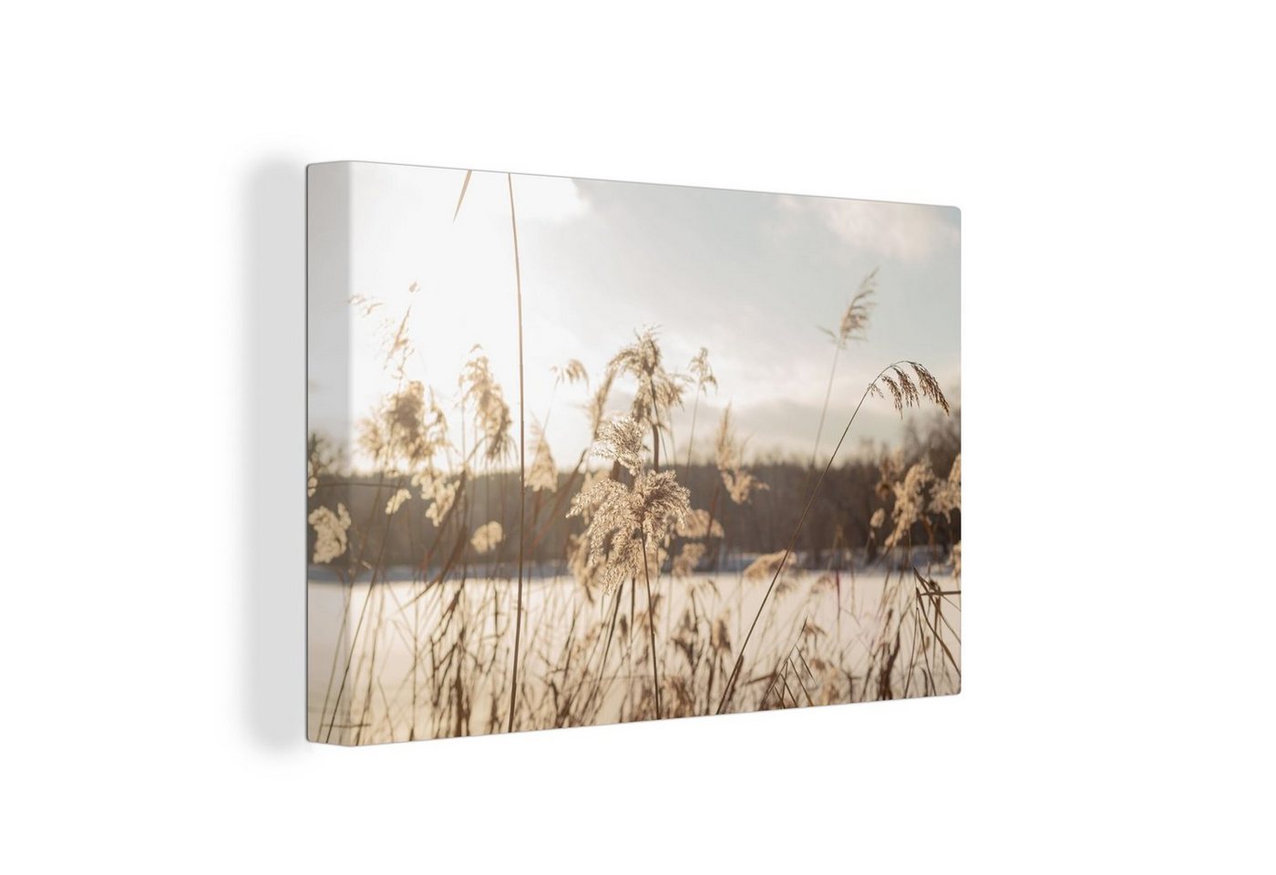 OneMillionCanvasses® Leinwandbild Wasser - Pampasgras - Pflanzen, (1 St), Leinwand Bilder Klein, Wand Dekoration Aesthetic 30x20 cm von OneMillionCanvasses®