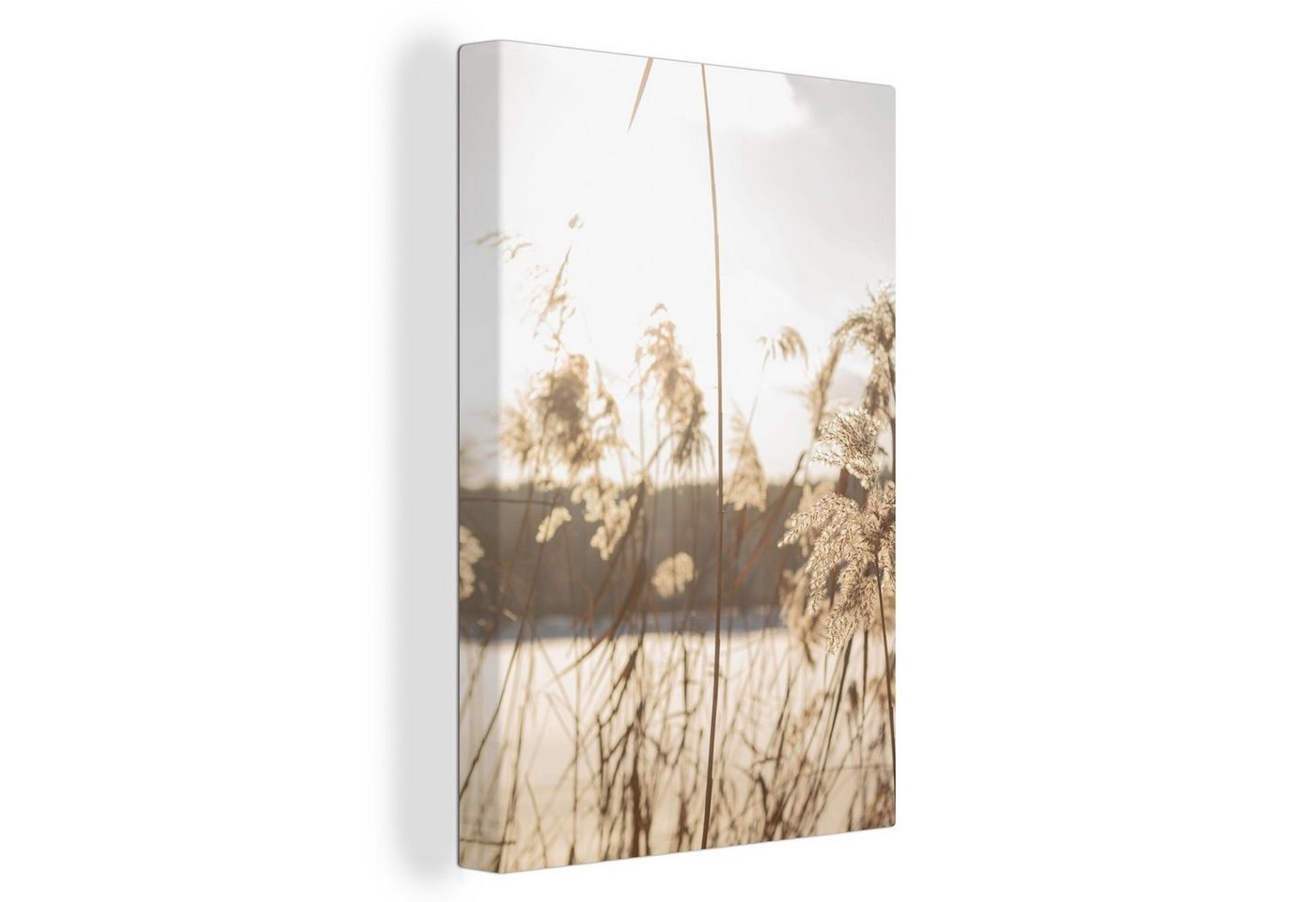 OneMillionCanvasses® Leinwandbild Wasser - Pampasgras - Pflanzen, (1 St), Leinwand Canvas Wandbild, Wanddekoration 20x30 cm von OneMillionCanvasses®