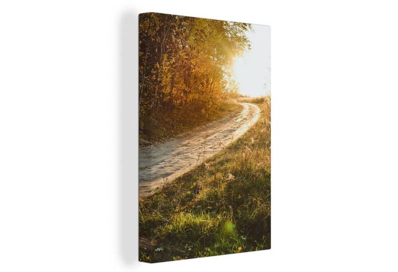 OneMillionCanvasses® Leinwandbild Weg - Natur - Baum, (1 St), Leinwand Canvas Wandbild, Wanddekoration 20x30 cm von OneMillionCanvasses®