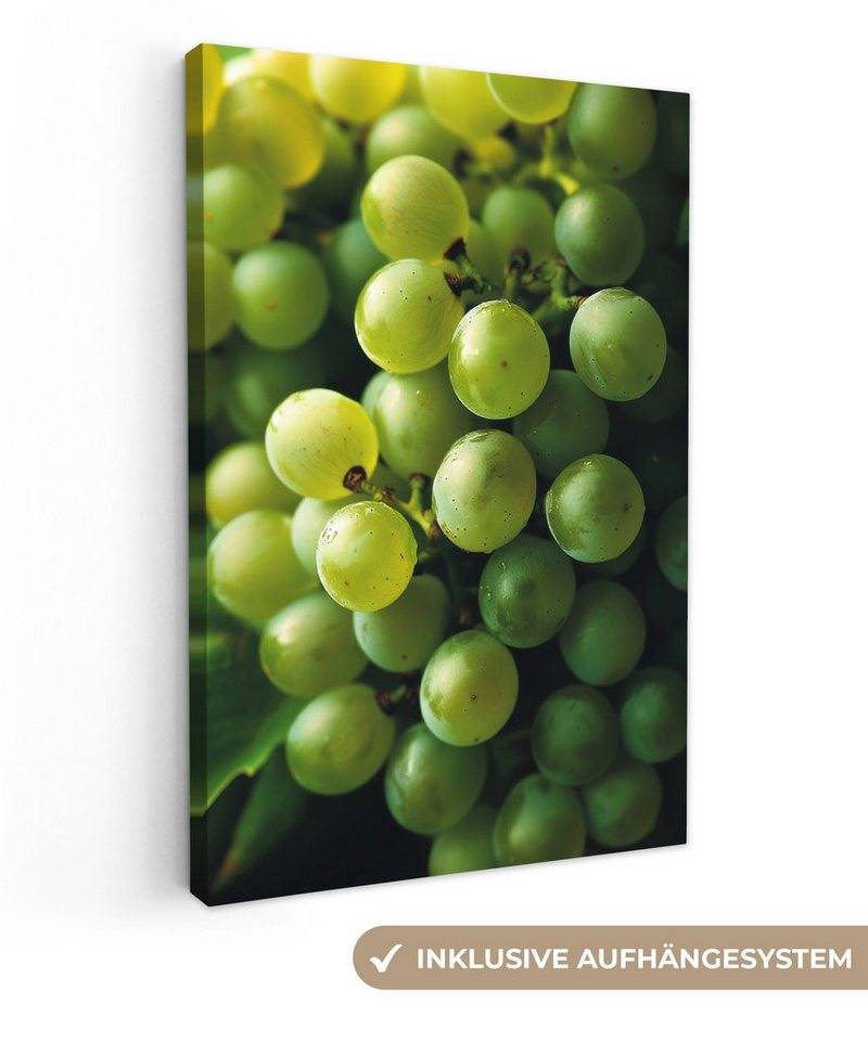 OneMillionCanvasses® Leinwandbild Weintrauben - Traube - Grün, Fotodruck (1 St), Leinwand Canvas Wandbild, Wanddekoration 20x30 cm von OneMillionCanvasses®