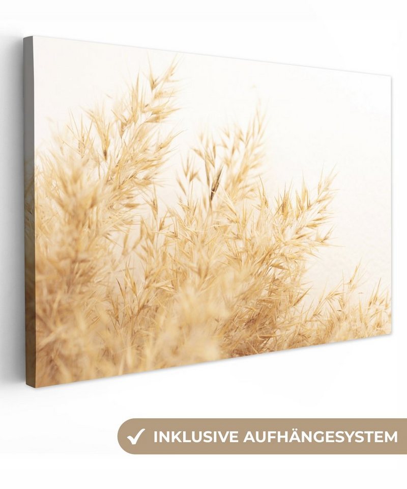 OneMillionCanvasses® Leinwandbild Weizen - Natur - Sonne, (1 St), Wandbild Leinwandbilder, Aufhängefertig, Wanddeko, 30x20 cm von OneMillionCanvasses®