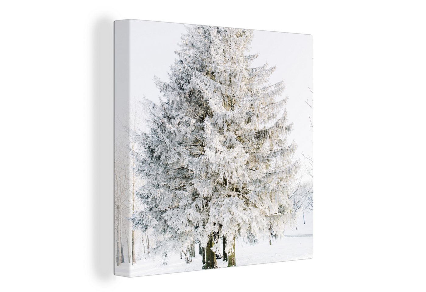 OneMillionCanvasses® Leinwandbild Winter - Baum - Schnee - Kiefer - Weiß, (1 St), Leinwand Bilder für Wohnzimmer Schlafzimmer von OneMillionCanvasses®