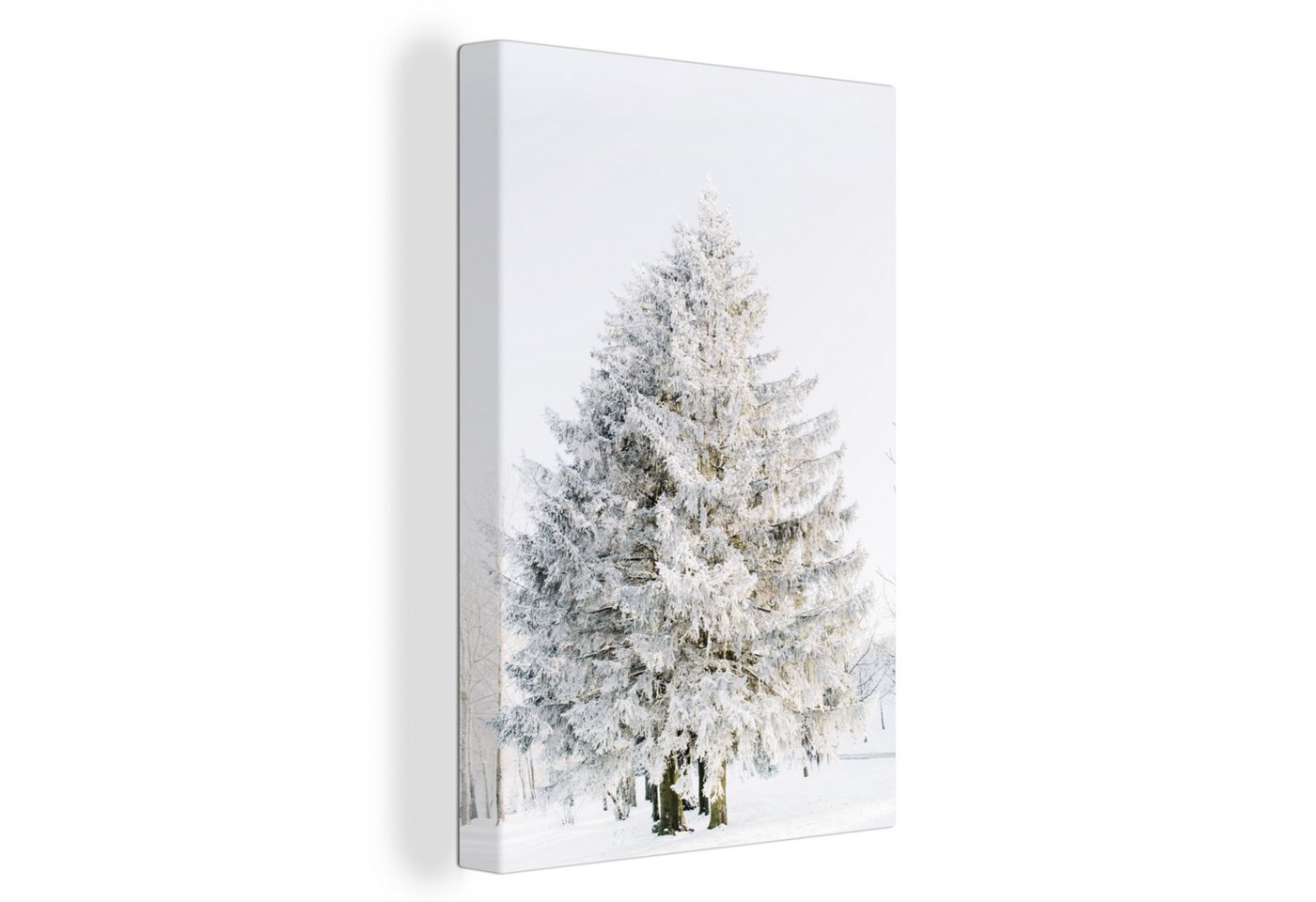 OneMillionCanvasses® Leinwandbild Winter - Baum - Schnee - Kiefer - Weiß, (1 St), Leinwand Canvas Wandbild, Wanddekoration 20x30 cm von OneMillionCanvasses®