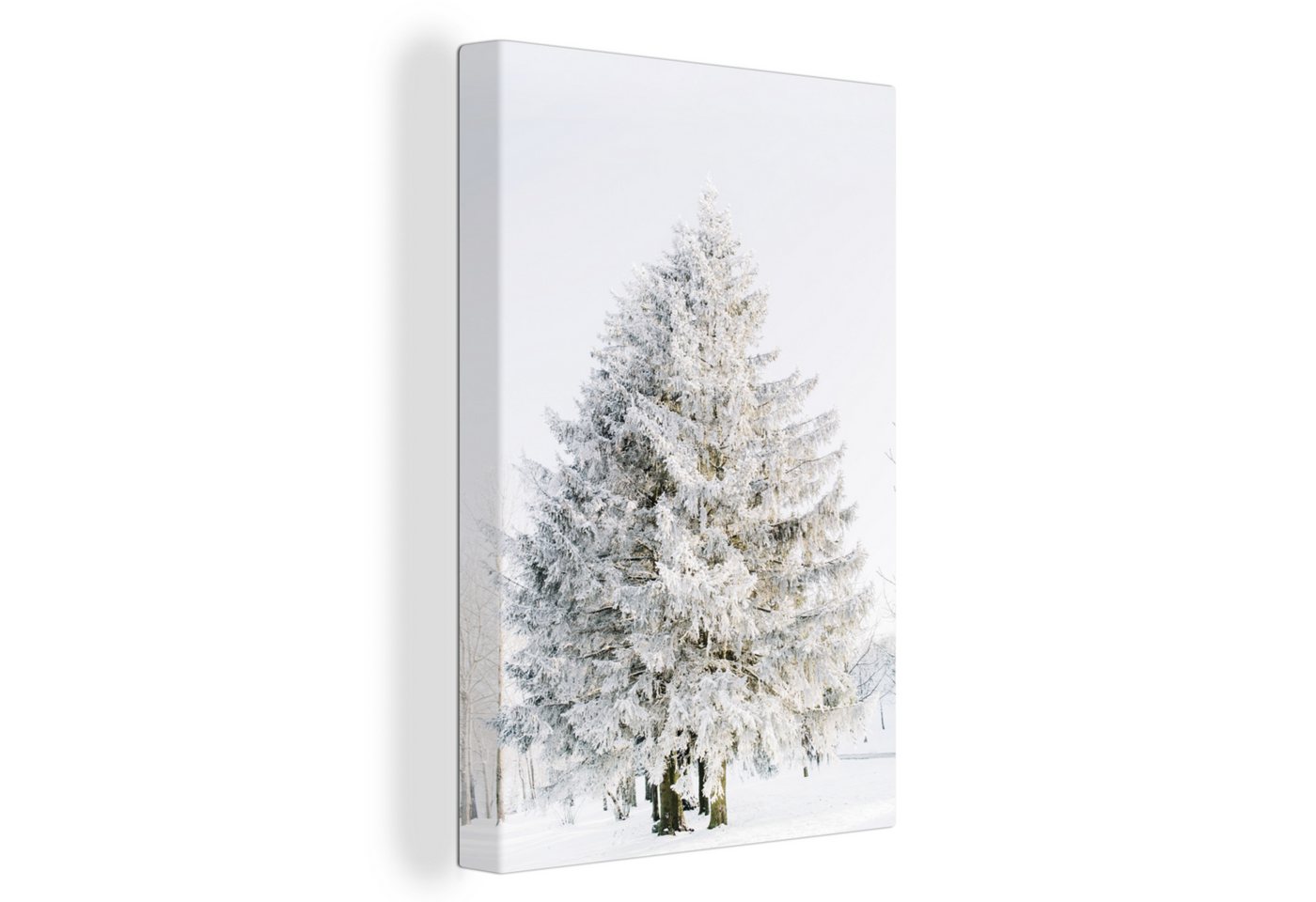 OneMillionCanvasses® Leinwandbild Winter - Baum - Schnee - Kiefer - Weiß, (1 St), Leinwandbild fertig bespannt inkl. Zackenaufhänger, Gemälde, 20x30 cm von OneMillionCanvasses®