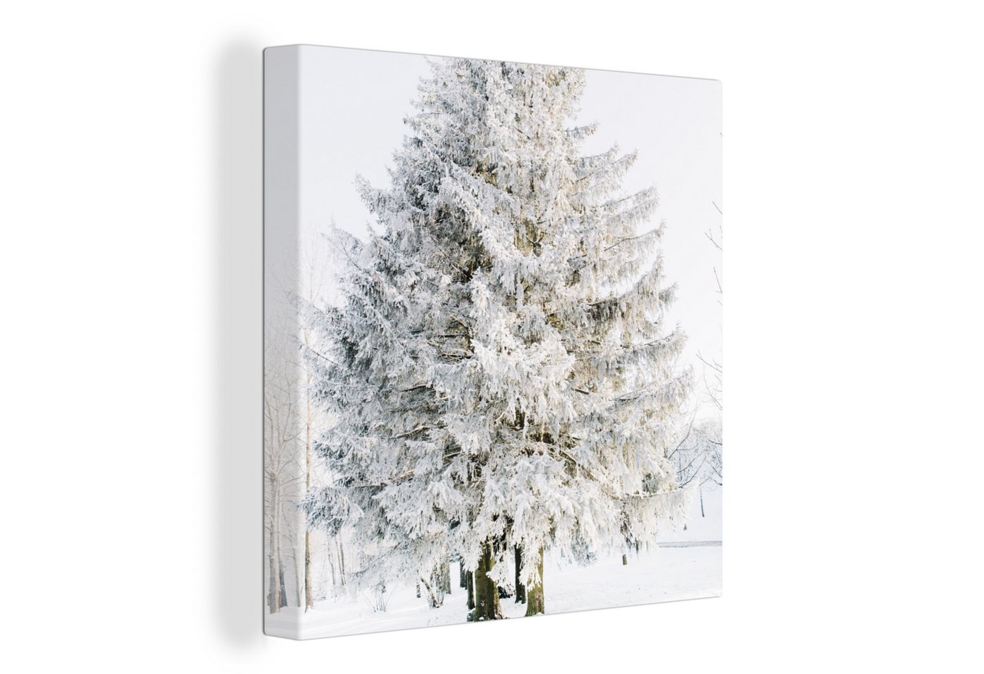 OneMillionCanvasses® Leinwandbild Winter - Baum - Schnee - Kiefer - Weiß, (1 St), Wandbild, Deko Schlafzimmer Wohnzimmer Flur 20x20 cm von OneMillionCanvasses®