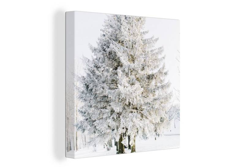 OneMillionCanvasses® Leinwandbild Winter - Baum - Schnee - Kiefer - Weiß, (1 St), Wandbild, Deko Schlafzimmer Wohnzimmer Flur 20x20 cm von OneMillionCanvasses®
