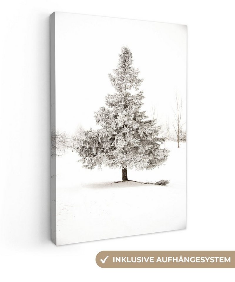 OneMillionCanvasses® Leinwandbild Winter - Baum - Schnee - Natur - Jahreszeiten, (1 St), Leinwandbild fertig bespannt inkl. Zackenaufhänger, Gemälde, 20x30 cm von OneMillionCanvasses®