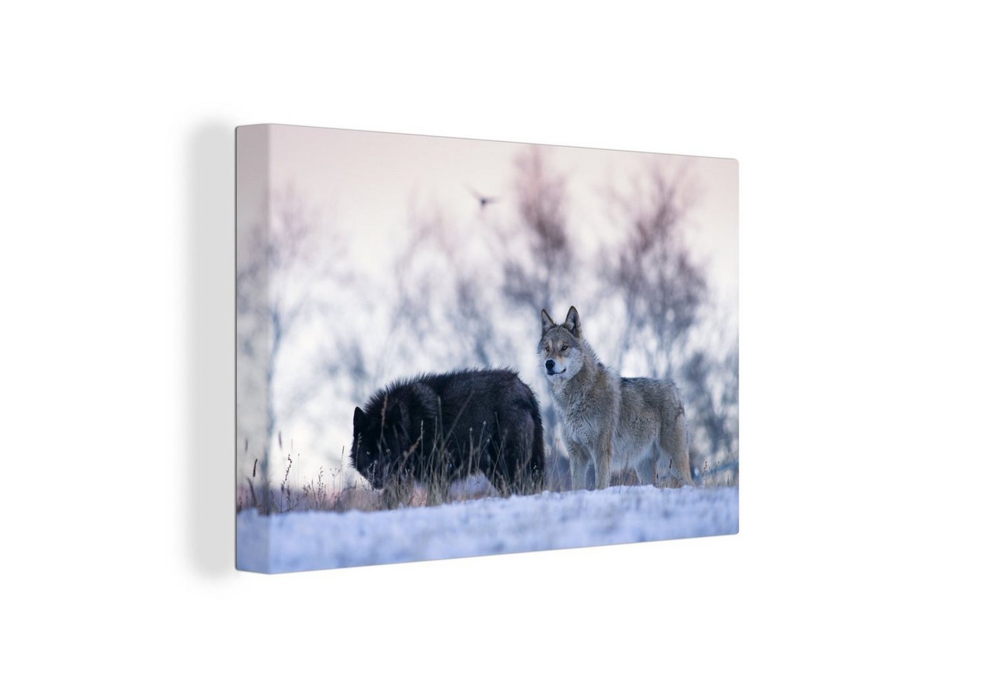 OneMillionCanvasses® Leinwandbild Wölfe - Schnee - Wald, (1 St), Wandbild Leinwandbilder, Aufhängefertig, Wanddeko, 30x20 cm von OneMillionCanvasses®