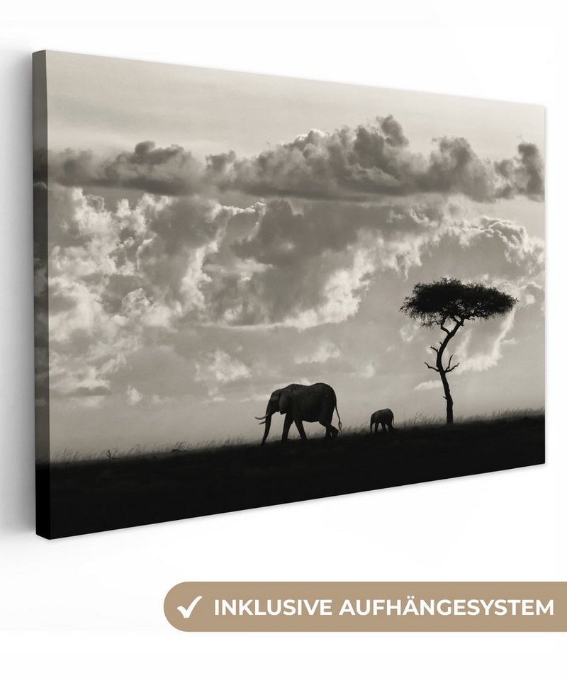 OneMillionCanvasses® Leinwandbild Wolke - Elefant - Schwarz - Weiß - Natur, (1 St), Wandbild Leinwandbilder, Aufhängefertig, Wanddeko, 30x20 cm von OneMillionCanvasses®