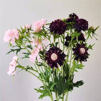 Künstlicher Cordyceps Sinensis, Einzelne Künstliche Blume, Indoor Home Weiche Dekoration, Fotografie Requisiten von FineSnow