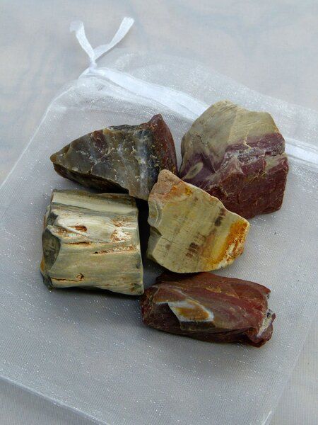 OneWorldMinerals Versteinertes Holz Wassersteine im Organzabeutel - quintESSENCE Wassersteine von OneWorldMinerals