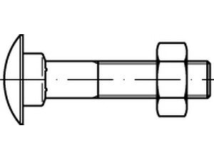DIN 603 Mu Stahl galvanisch verzinkt Flachrundschrauben mit Vierkantansatz Mu = mit Sechskantmutter - Abmessung: M10x190 (50 Stück) von Online-Befestigungstechnik