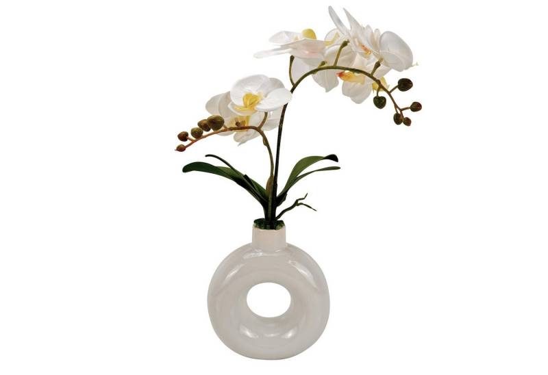 Kunstblume - Künstliche Blumen, Pflanzen im Topf, runde Vase - wie echt - Orchideen, Online-Fuchs, Moderne Vase von Online-Fuchs