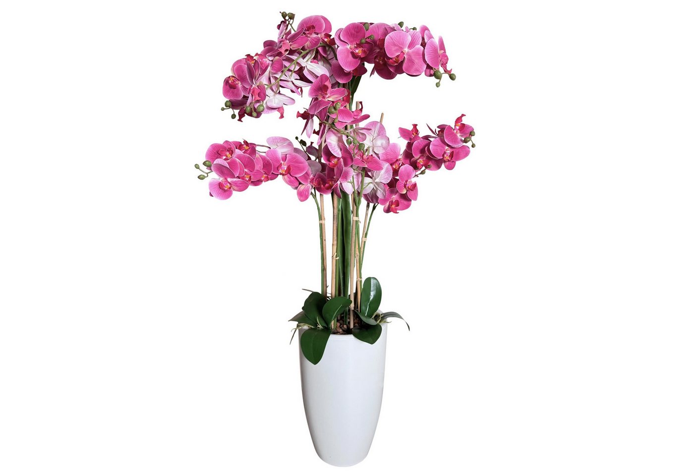 Kunstblume Künstliche Pflanzen, Blumen im Topf, wie echt in XXL - 115 cm groß - Orchideen, Online-Fuchs, 72 wunderschöne Blüten im Real-touch-look Kunstblume Künstliche Pflanzen, Blumen im Topf, wie echt in XXL - 115 cm groß - Orchideen, Online-Fuchs, 72 wunderschöne Blüten im Real-touch-look von Online-Fuchs
