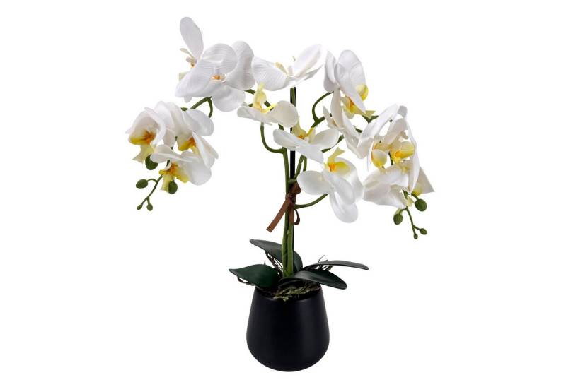 Kunstblume Orchideen im Topf - künstliche Blumen, Pflanzen - wie echt - Schmetterlingsorchidee, Online-Fuchs, ganzjährige Dekoration - real touch look in Weiß, Blau oder Pink von Online-Fuchs