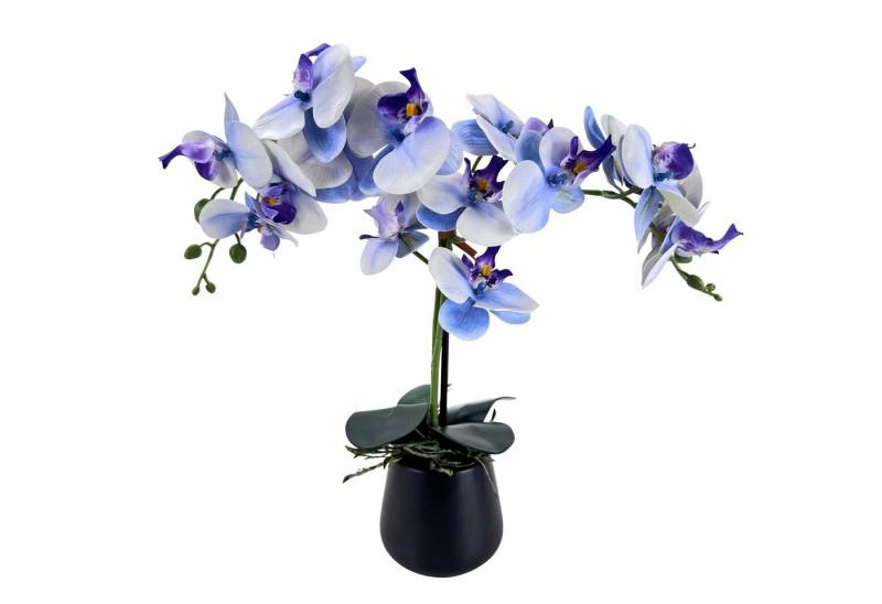 Kunstblume Orchideen im Topf - künstliche Blumen, Pflanzen - wie echt - Schmetterlingsorchidee, Online-Fuchs, ganzjährige Dekoration - real touch look in Weiß, Blau oder Pink von Online-Fuchs