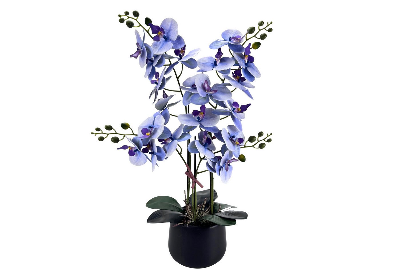 Kunstblume Orchideen im Topf - künstliche Blumen, Pflanzen - wie echt - Schmetterlingsorchidee, Online-Fuchs, ganzjährige Dekoration - real touch look in Weiß, Blau oder Pink von Online-Fuchs