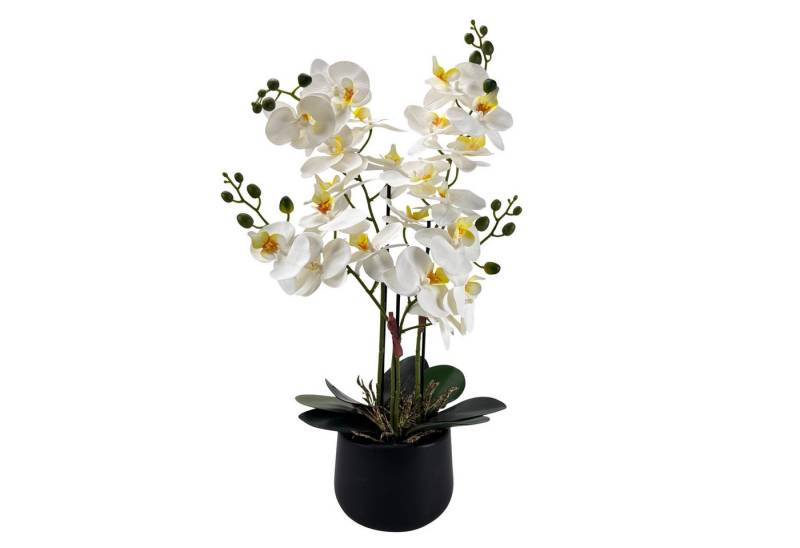 Kunstblume Orchideen im Topf - künstliche Blumen, Pflanzen - wie echt - Schmetterlingsorchidee, Online-Fuchs, ganzjährige Dekoration - real touch look in Weiß, Blau oder Pink von Online-Fuchs