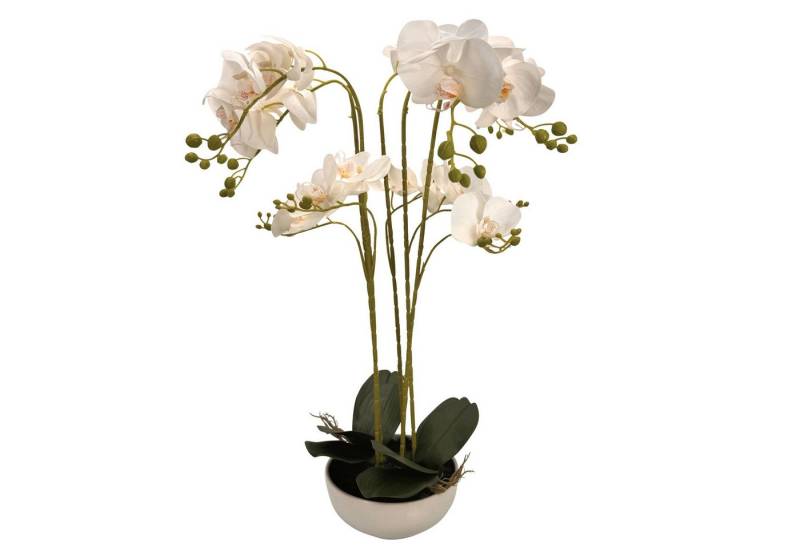 Kunstblumenstrauß - rosa Blüten und Blattgrün - künstliche Blumen, Pflanzen - wie echt - Ranunkeln, Online-Fuchs, Höhe 65 cm, Kunstblumen in einer Glasvase von Online-Fuchs