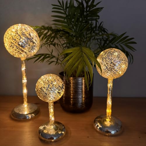 Online Fuchs 3 LED Glaskugeln mit Standfuß, integrierter LED-Lichterkette und 6-Stunden Timer - Stimmungslicht, Dekolicht (Silber) von Online Fuchs