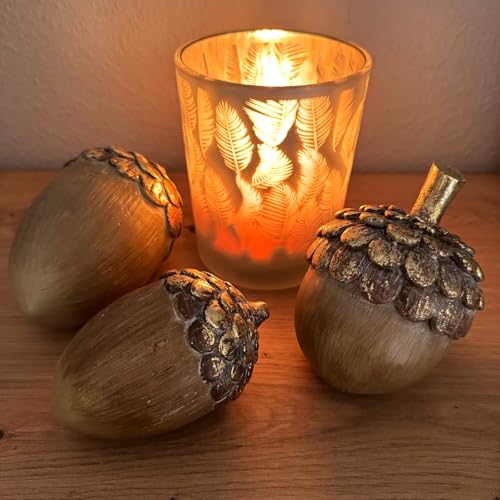 Online Fuchs 3er Set Eicheln, Nüsse in 3 Größen - Herbstdeko und Winterdeko - edles Metallic-Finish in Vintage Optik, bis 12,5 cm groß Online Fuchs 3er Set Eicheln, Nüsse in 3 Größen - Herbstdeko und Winterdeko - edles Metallic-Finish in Vintage Optik, bis 12,5 cm groß von Online Fuchs