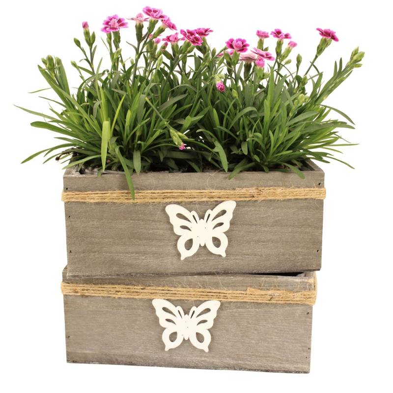Online-Fuchs Blumentopf 2er Set Blumenschalen aus Holz mit Schmetterling Deko P76 (für Blumen und Kräuter, wasserdicht, Blumenkasten), Maße ca. 22 x 12,5 x 9 cm, Bastband von Online-Fuchs