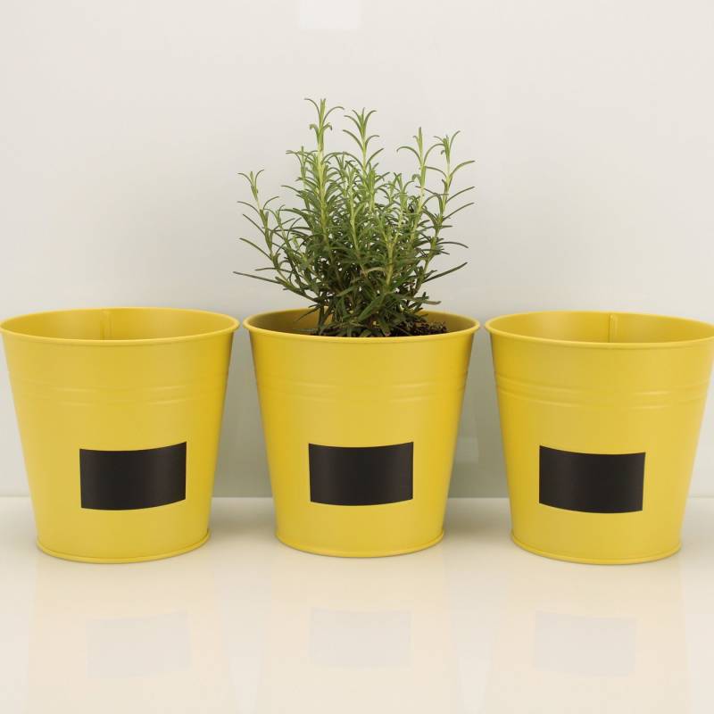 Online-Fuchs Blumentopf 3er Set runde Blumentöpfe zum Beschriften im Set - Kräutertopf (3er Set), Metall von Online-Fuchs