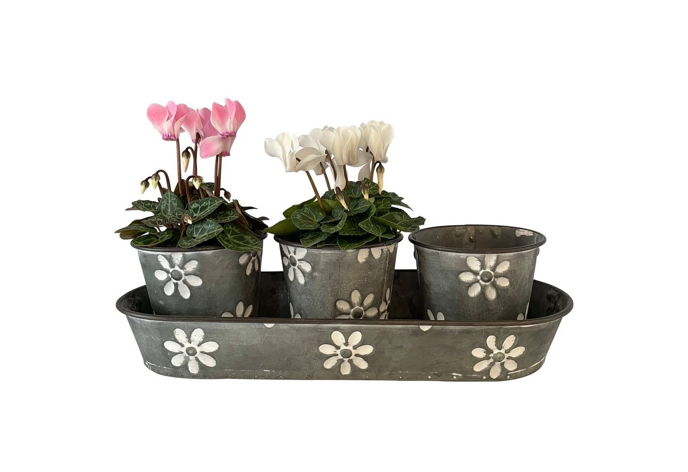 Online-Fuchs Blumentopf 3er Set süße Blumentöpfe auf Tablett, Kräutertopf Pflanzkasten P49, mit Blumen verziert Maße ca. 35 x 14 x 5 Durchmesser 10 cm 9 cm hoch. von Online-Fuchs