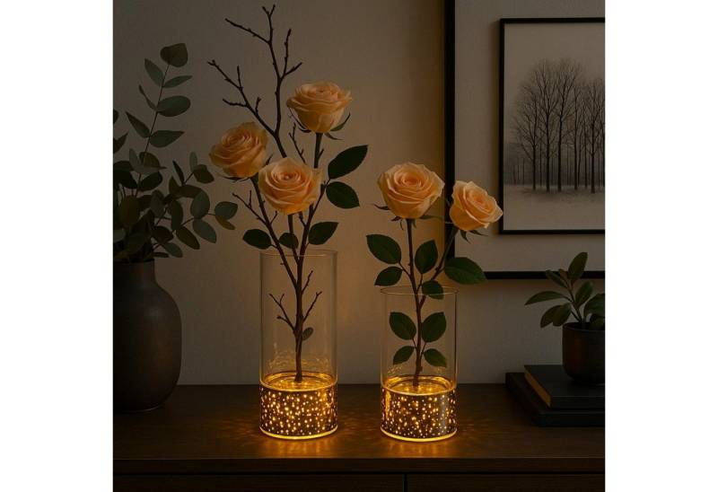 Online-Fuchs Dekovase mit LED-Beleuchtung und Timer - DIY Vase zum Dekorieren (Warmweiß oder Farbwechsel möglich, 2er Set, 15 und 20,5 cm groß), praktische 6-Stunden Timerfunktion von Online-Fuchs