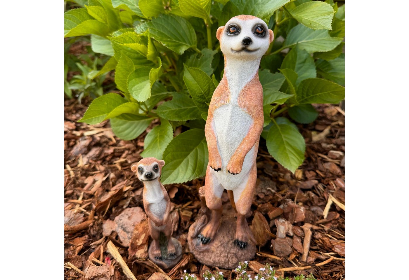 Online-Fuchs Gartenfigur Erdmännchen Deko Figuren im Set für den Garten - Wetterfest, Gartenfiguren aus Kunstharz für den Außenbereich Online-Fuchs Gartenfigur Erdmännchen Deko Figuren im Set für den Garten - Wetterfest, Gartenfiguren aus Kunstharz für den Außenbereich von Online-Fuchs